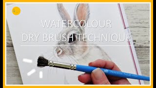 Watercolour DRY BRUSH technique for FUR | RABBIT TUTORIAL