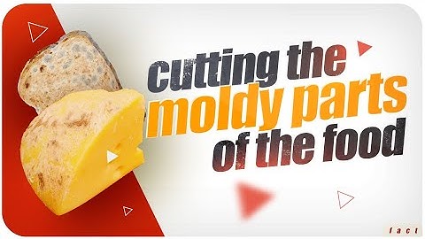 Can you eat the clean parts of moldy food? | Useful everyday facts