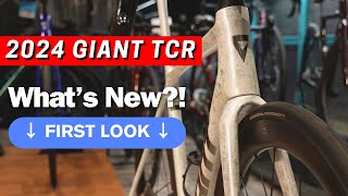 Integrated Cables At Last? | The All New 2024 Giant TCR (10th Gen) | Oompa Loompa Cycling