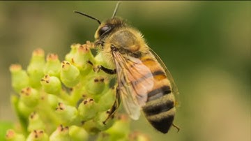 PhotoLink Library: The Good with The Bad