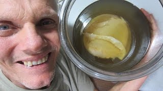 How to make Kombucha Using Sorghum & Kombucha Kamp Instructions