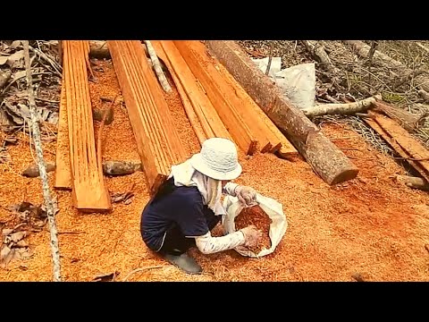 Video: Serbuk Gergaji: Habuk Papan Berbutir Dalam Beg, Kekonduksian Terma Dan Ketumpatan. Apa Ini? Pembinaan Pain Dan Habuk Papan Lain, Berat