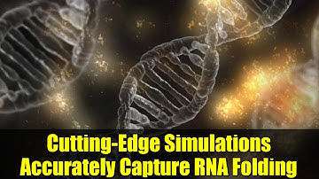 Cutting-Edge Simulations Accurately Capture RNA Folding