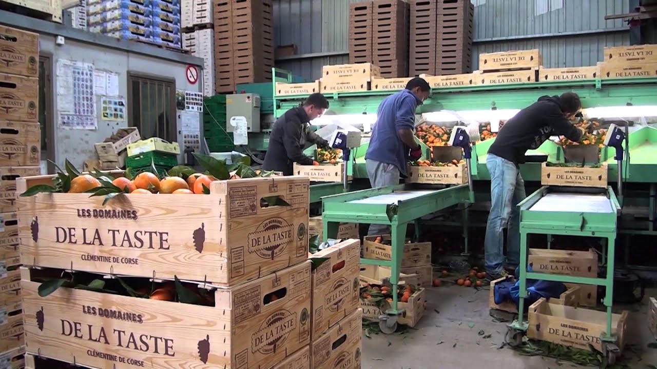 07 Les domaines de la Taste : conditionnement