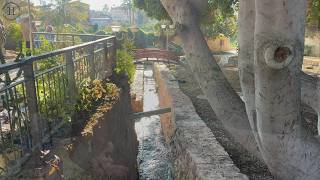 Elisha's Miracle: The Spring That Healed Jericho
