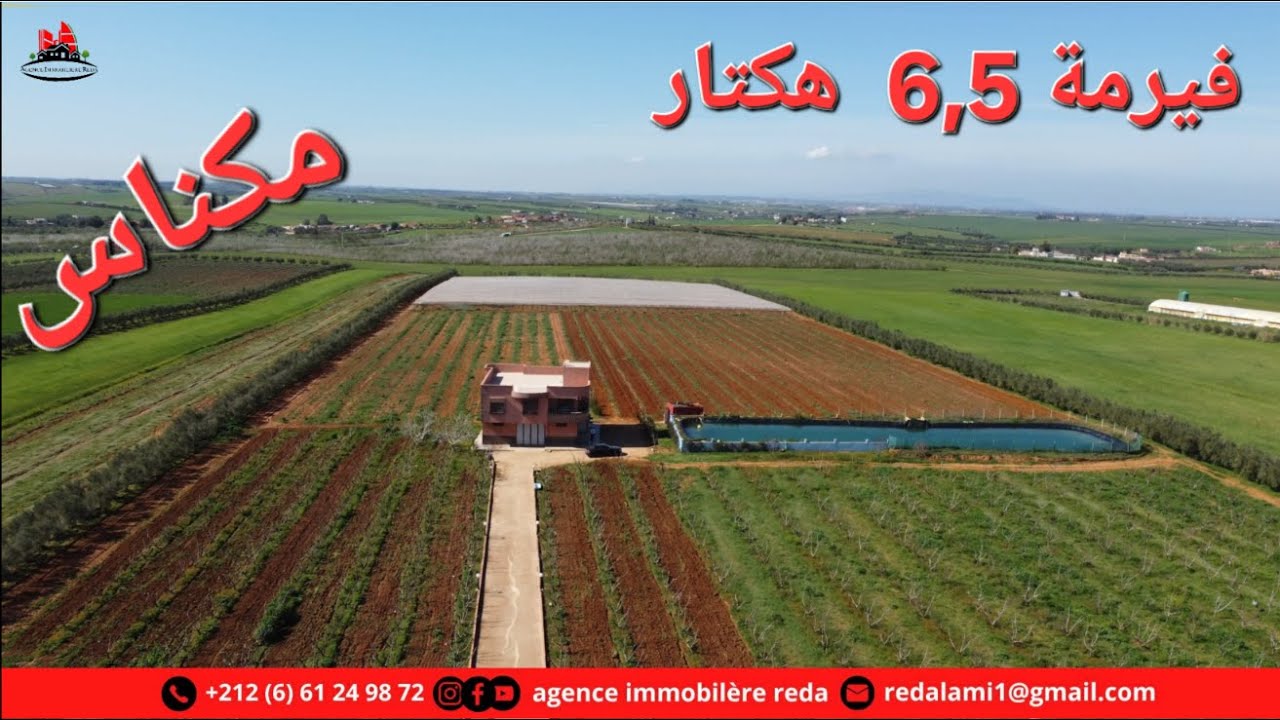 Ferme 6.5h Meknes فيرمة مكناس 6.5 هكار