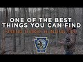 Spring Turkey Hunting Tips- One of the best things you can find.