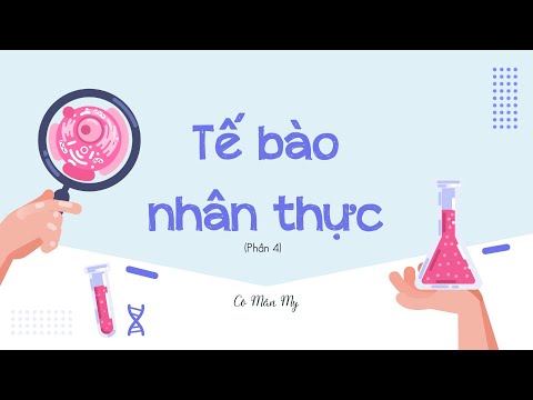 Video: Làm thế nào để màng tế bào duy trì các điều kiện bên trong ổn định?