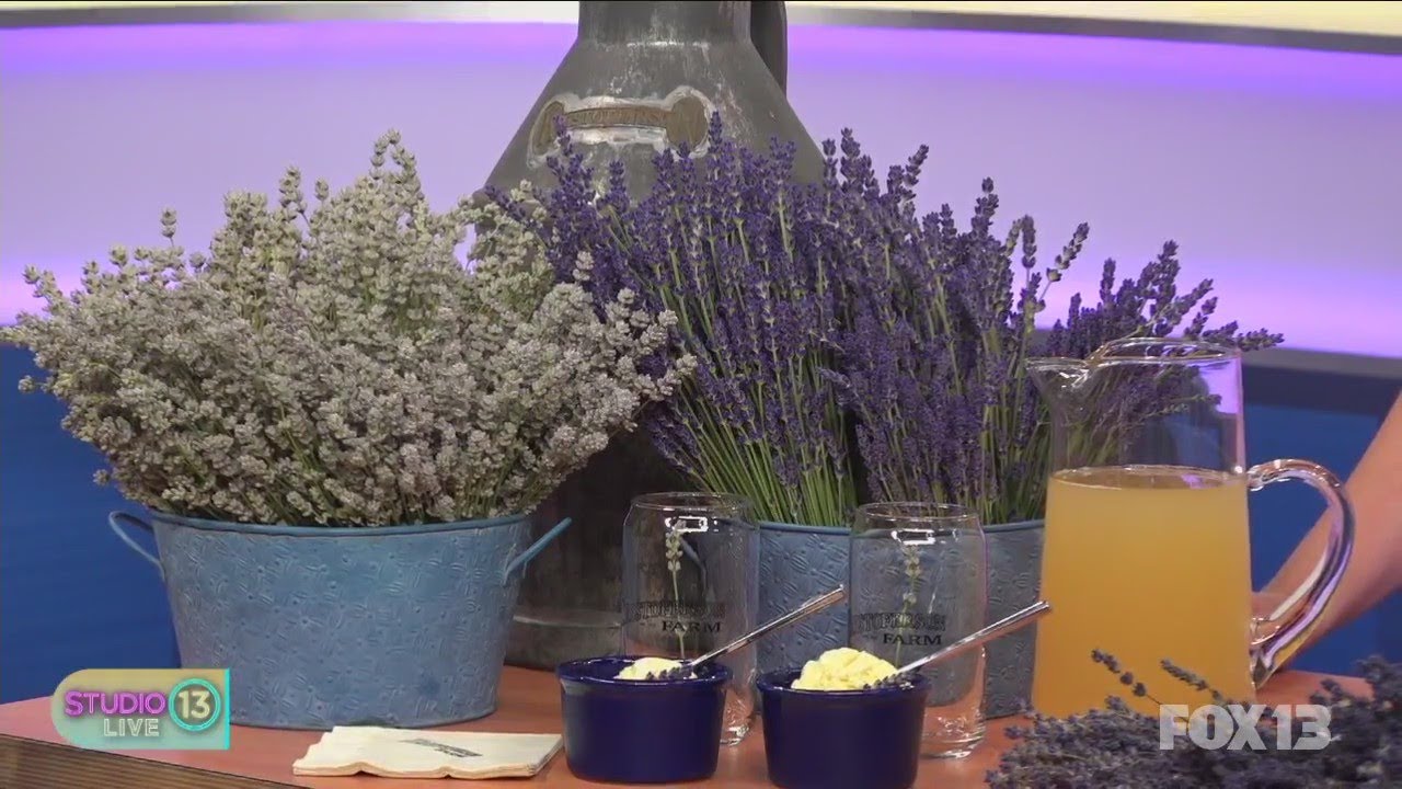Lavender season underway at Kristoferson Farm on Camano Island YouTube