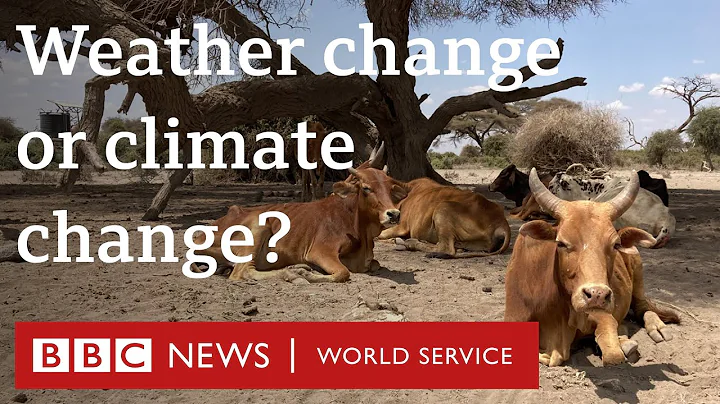 When does weather change become climate change? - CrowdScience podcast, BBC World Service