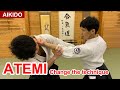 【Special technique Aikido】Use ATEMI to change technique - Shirakawa Ryuji shihan