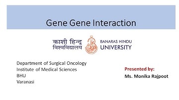 gene gene interaction