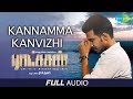 Kannamma Kanvizhi | Audio | Ratsasan | Vishnu Vishal | Amala Paul | Ghibran | Ramkumar | Sean Roldan
