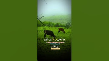 ربنا إنك تعلم ما نخفي |سورة ابراهيم~الآية38~القارئ الشيخ #خالد_الجليل ~🤍🎧
