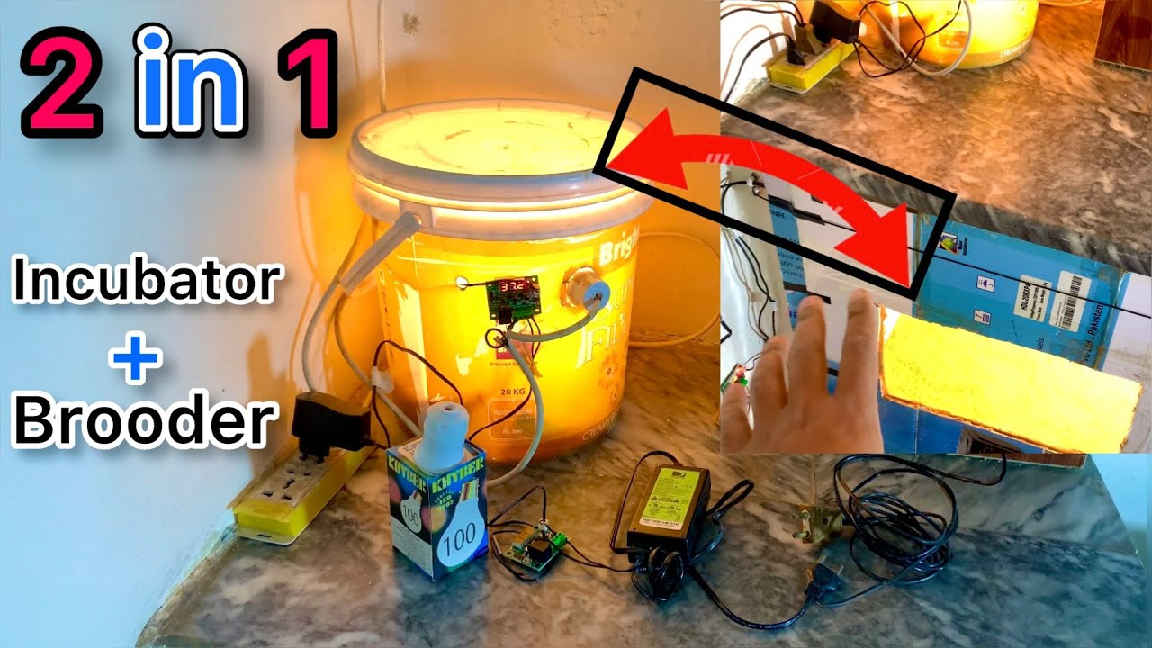 Home Made Incubator Banane Ka Tarika Hens Ducks Parrots Pigeons Sab K Eggs Incubate Karwayen