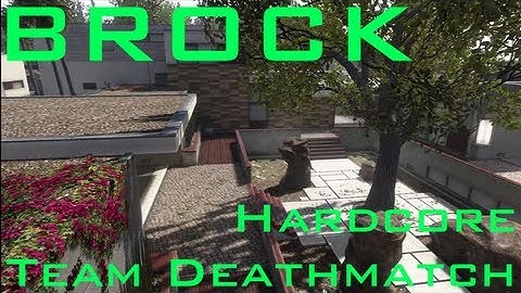Hardcore Team Deathmatch -- Raid *Brock* (Black Ops 2 Gameplay)