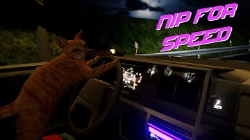 This cat is living life in the fast lane - Nip for Speed