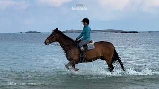 Horse Riding in the Sea - Riding on our beautiful Beaches ( Love Horses / Love Ponys )