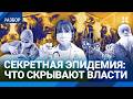 Эпидемия в России: массовый забой коров. Власть молчит, люди протестуют. Карантин в 15 регионах