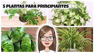 5 plantas de muy FÁCIL CUIDADOS #plantasdeinterior #nature