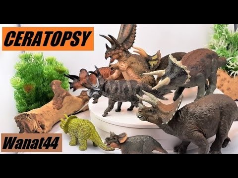 Ceratopsy (Dinozaury rogate) - Dinozaury 44