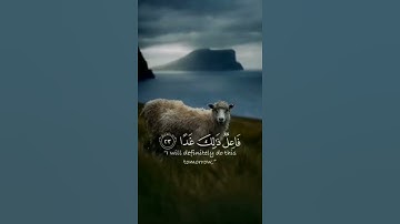 سوره الكهف آية ٢٣-٢٤ Surah Al-Kahf Verse 23-24