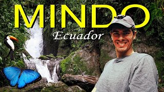 Exploring the CLOUD FORESTS of MINDO, ECUADOR (Better than COSTA RICA) | Ecuador Travel 2023