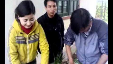 TetDuongLich2012.mp4