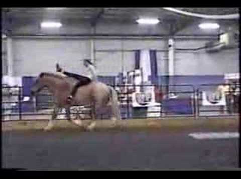 JD Winslow vaulting horse running free