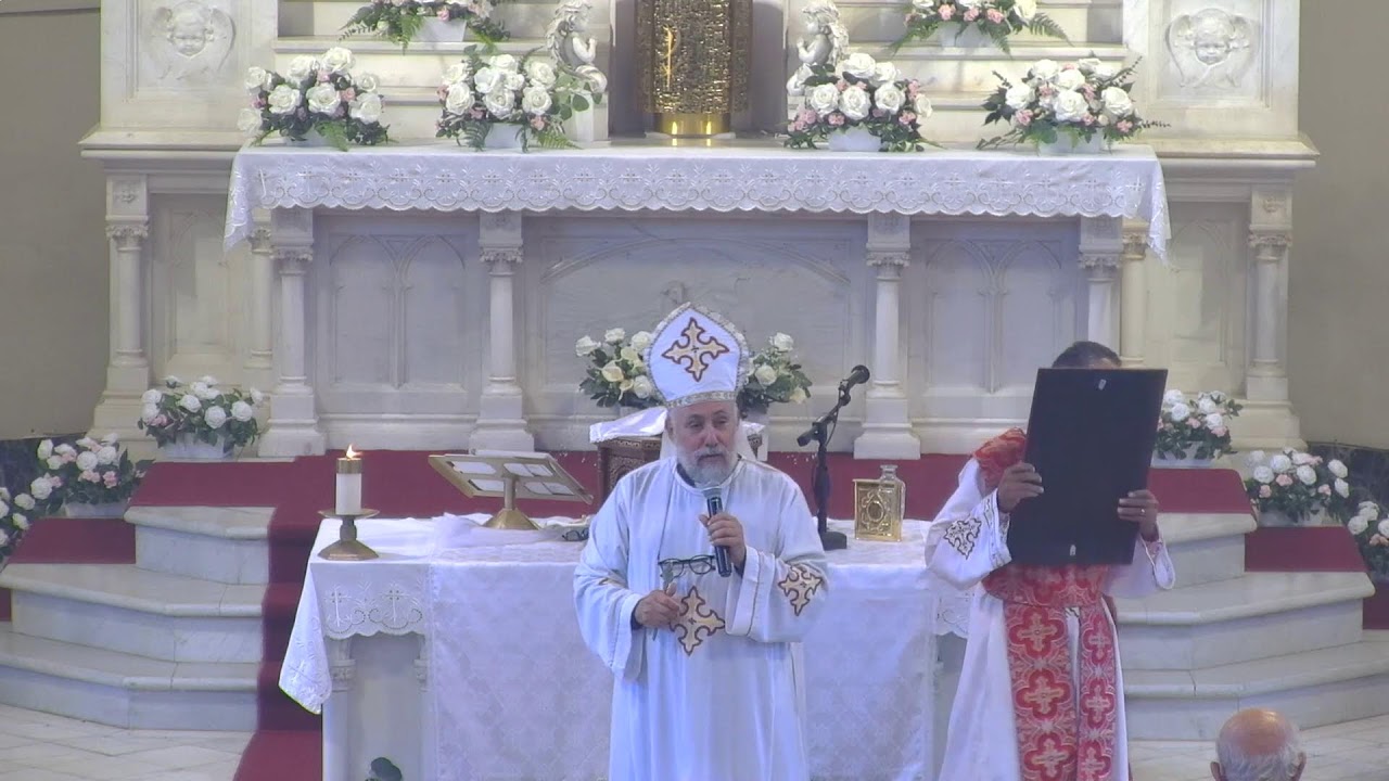 Sunday Liturgy 08/09/2026