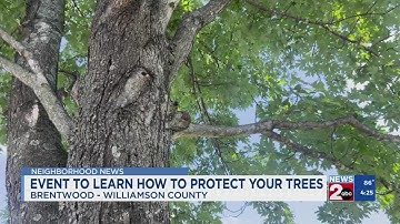 Event in Brentwood teaches how to protect trees