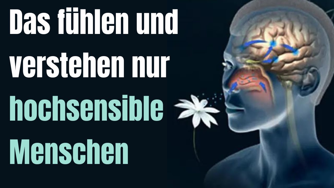 Immer schuldig und so einsam! Das Leid des hochsensiblen Kindes in Familien mit Narzissten