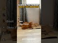 RANKING THE SMARTEST CAT MOMENTS THAT SHOCKED ME🧠🐱 #cat  #shorts