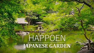 Japanese Garden Tour in TOKYO | Iconic Arbor, BONSAI  | Vibrancy in Stillness| HAPPO-EN