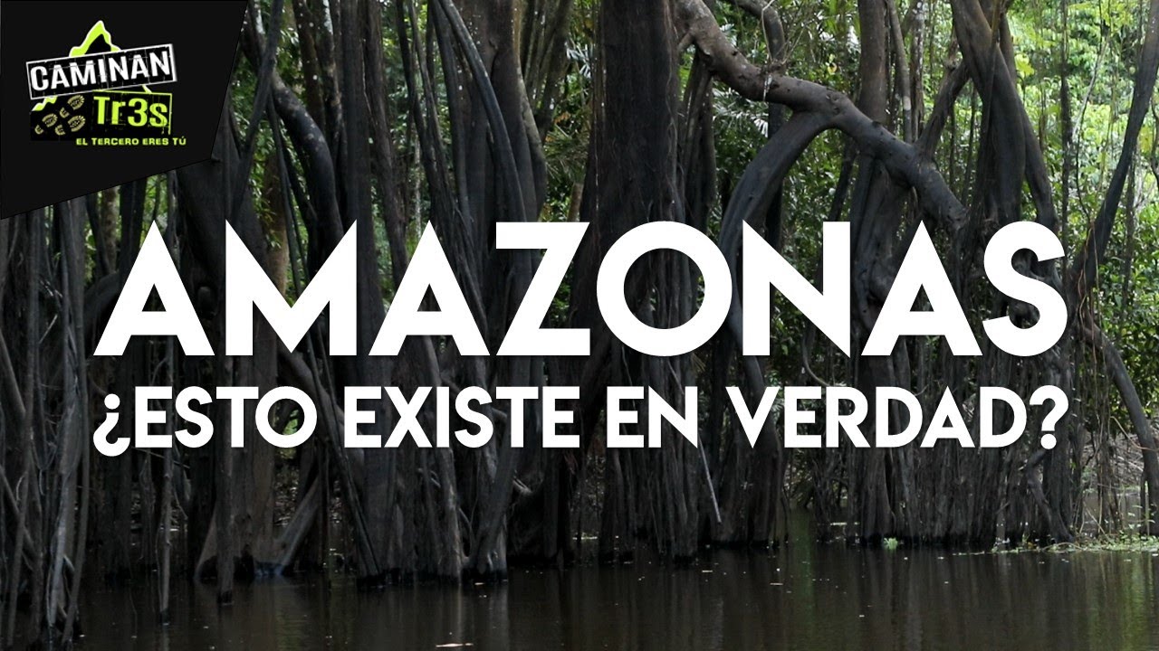 VER PARA CREER LA SELVA SE PRONUNCIA Natam en el Amazonas  CaminanTr3s El tercero eres t
