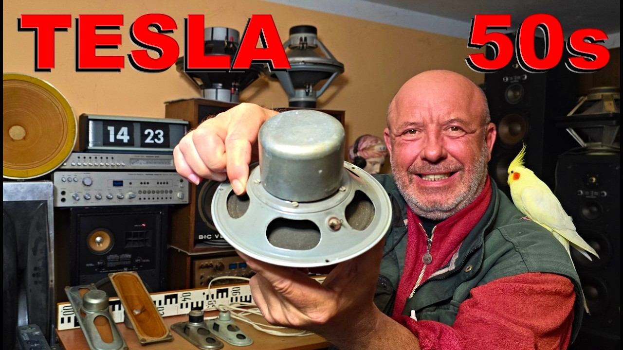 50s Old Vintage TESLA 2AN 633 40 Fullrange Tube Radio SPEAKER