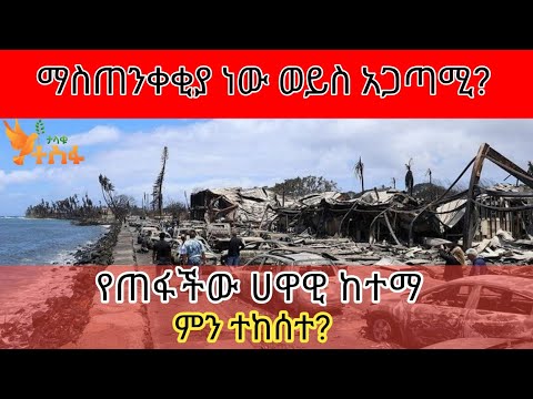 ቪዲዮ: አጋጣሚ ነው ወይስ አጋጣሚ?