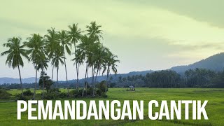 Rupanya Ada Sawah Padi Cantik Di Terengganu! Kampung Maras Terengganu