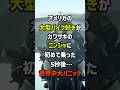 ㊗️150万再生！アメリカの大型バイク好きがカワサキのニンジャに初めて乗った5秒後…世界中大パニック