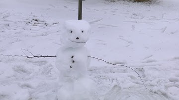 What type of snow is best for snowman building?