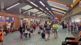 Business Report: With tourism down, most Maui businesses struggle to make ends meet