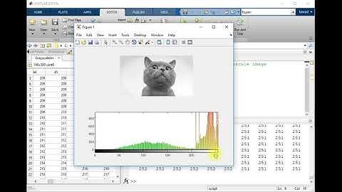Histogram of an Image |  image processing - (MATLAB full course)