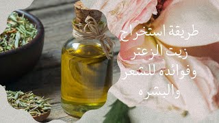 استخراج زيت الزعتر بابسط الطرق وفوائده العظيمة للبشرة والشعر
