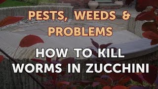 How To Kill Worms In Zucchini