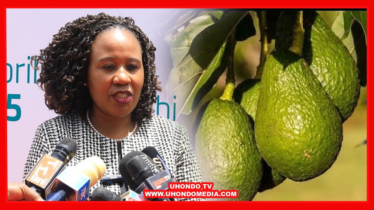 PARACHICHI YA TANZANIA YAVUNJA REKODI HII NZITO, MKURUGENZI WA COPRA AFICHUA SIRI HII