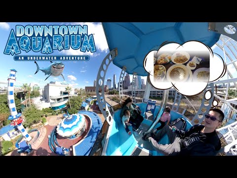 Video: Een complete gids voor het Downtown Aquarium van Houston