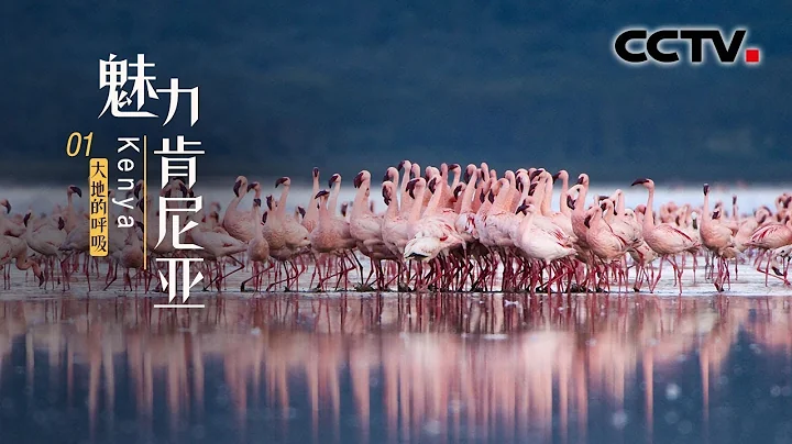 《魅力肯亞》第一集 大地的呼吸 | CCTV紀錄 - 天天要聞