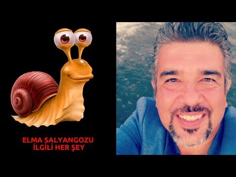 Video: Akvaryum Salyangozu Bakımı Nasıl Yapılır?