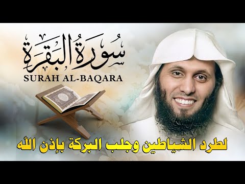 سورة البقرة كاملة     تلاوة مميزة بصوت منصور السالمي    