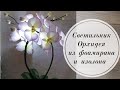 💜 Светильник Орхидея из фоамирана 1 мм и изолона 2 мм. 💜